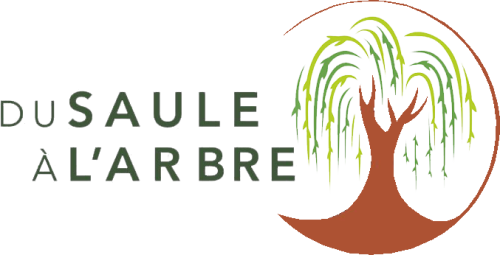 Du Saule À L’Arbre