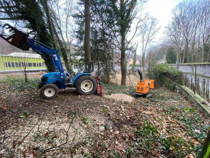 Travaux d’élagage Lyon